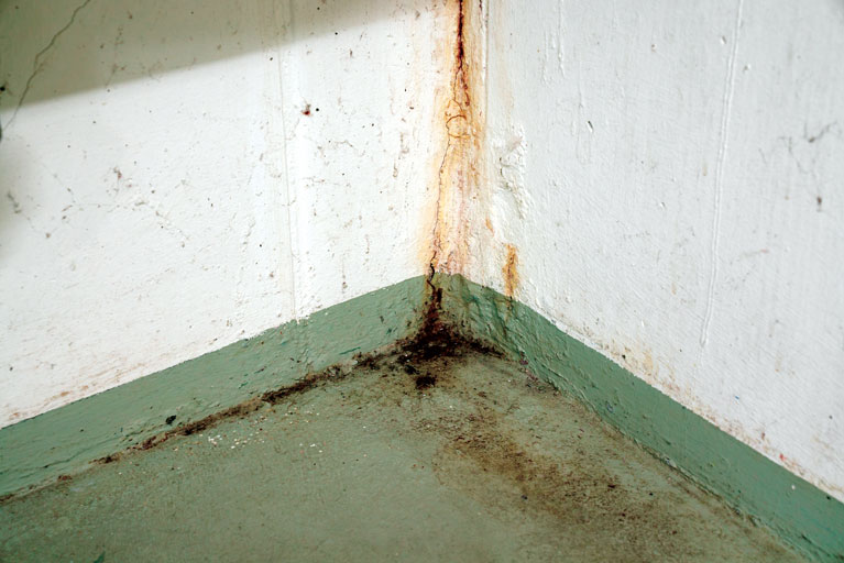 Leaks in Foundation