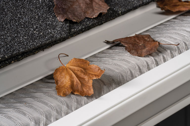 Valor Gutter Guards